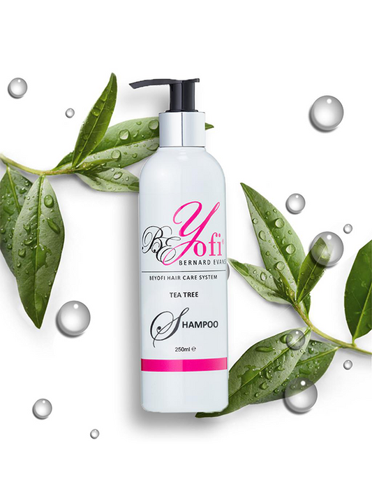 BEYofi Hair Care System Tea Tree Shampoo